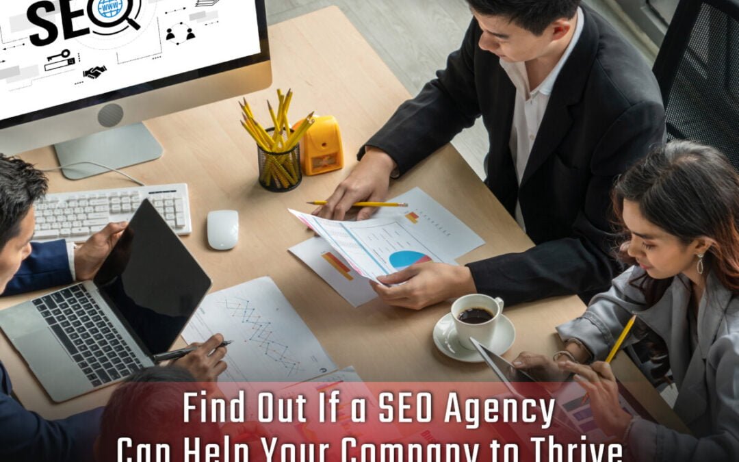 Find Out If an SEO Agency Can Help Your Company to Thrive